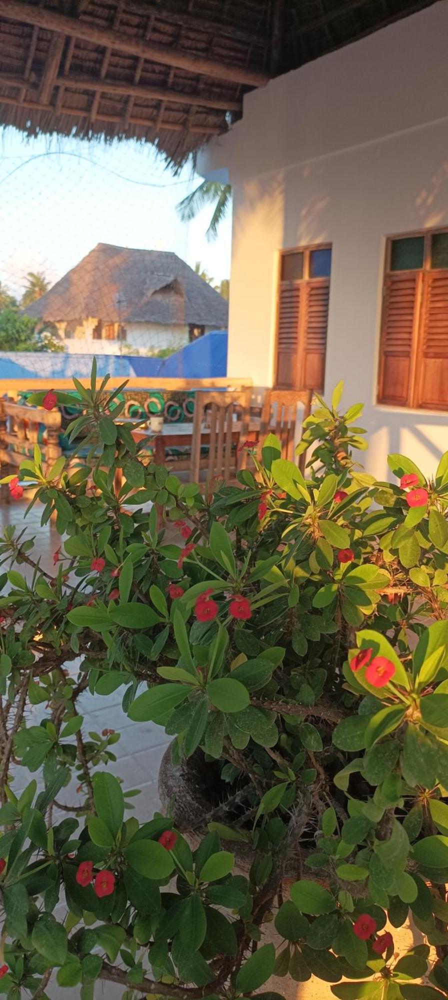 Vila Amka House Jambiani  Exteriér fotografie