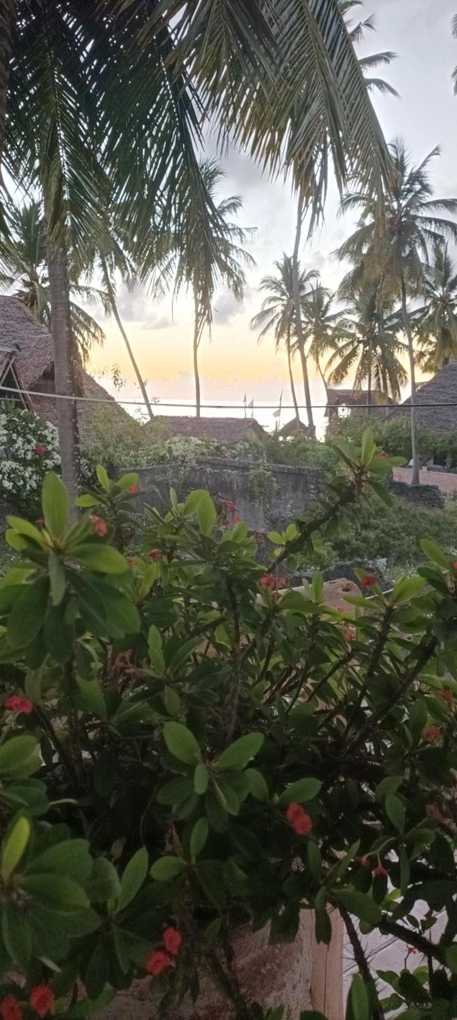 Vila Amka House Jambiani  Exteriér fotografie